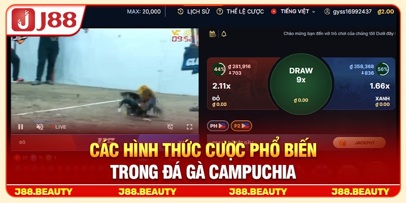 Các hình thức cược phổ biến trong đá gà Campuchia
